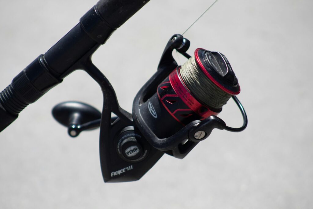 best saltwater spinning reels with black colour rod