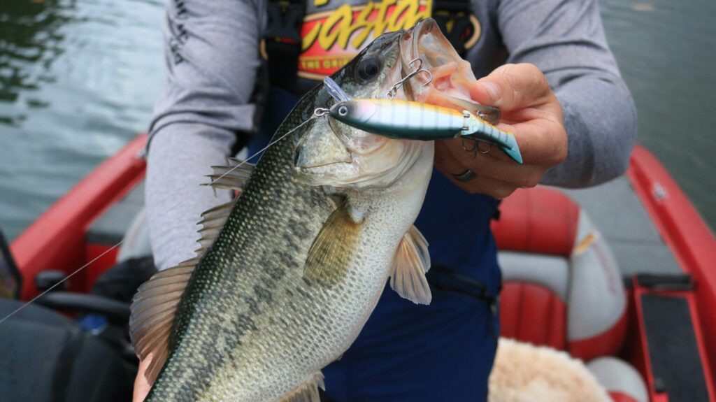 Fisherman holding a freshly caught bass, caught using best bass fishing lures by a lake