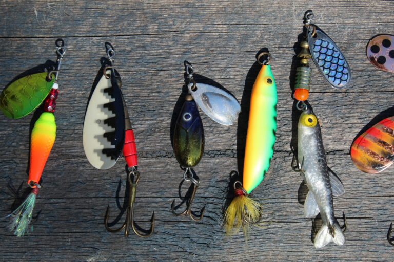 A variety of top-rated fishing lures displayed on a wall, organized by type and color for bass, trout, and freshwater fishing