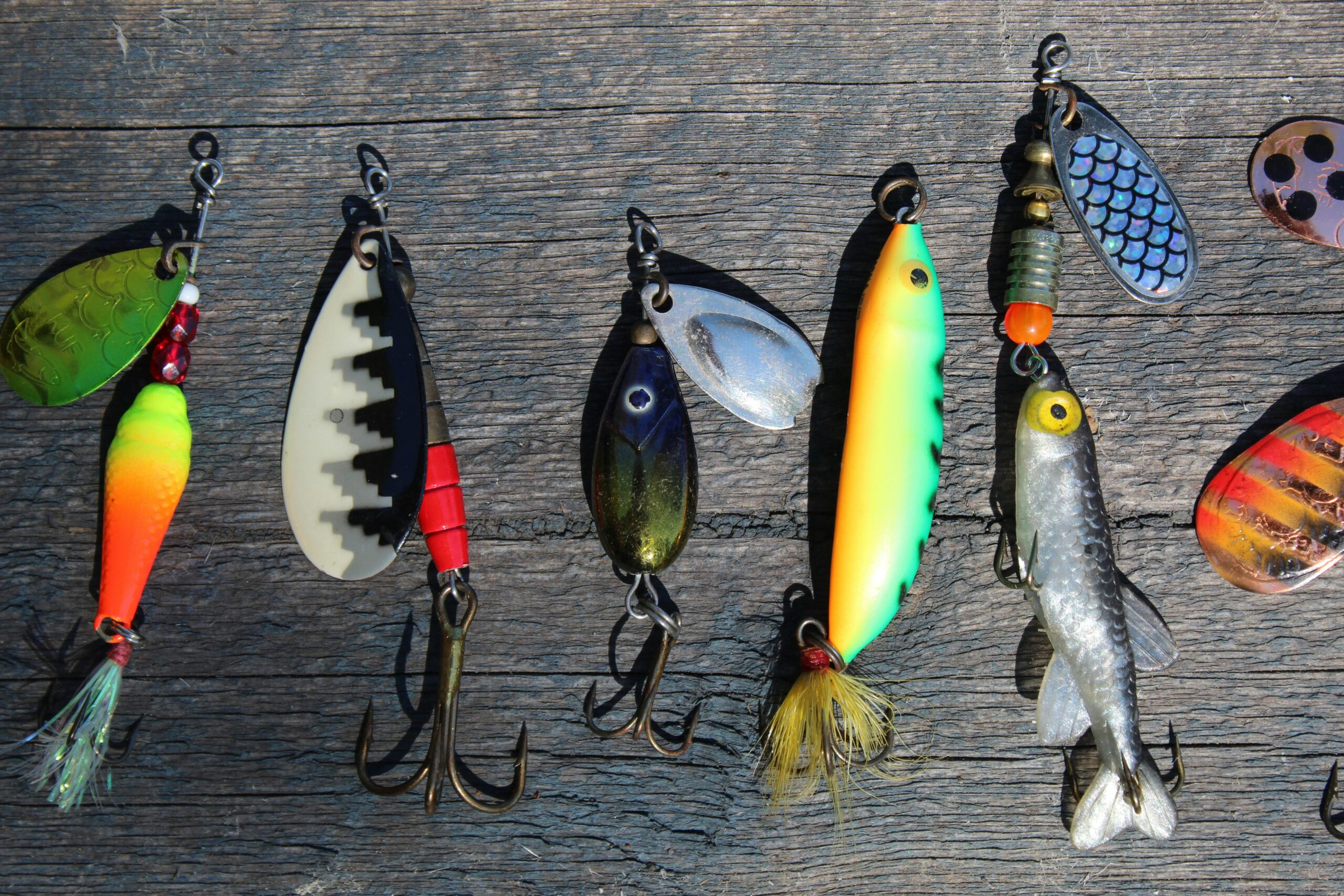 A variety of top-rated fishing lures displayed on a wall, organized by type and color for bass, trout, and freshwater fishing