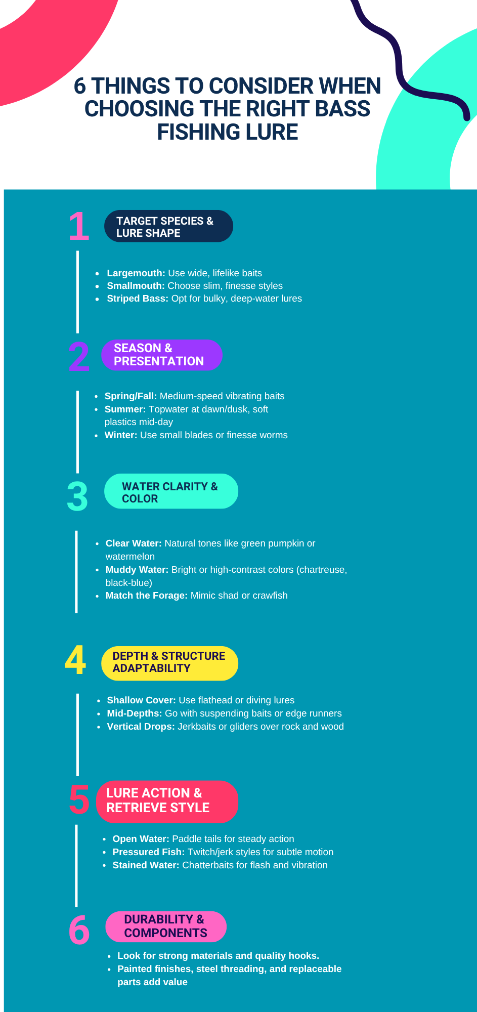 Infographic with 6 tips for choosing the best bass fishing lure, including species, season, water clarity, depth, action, and durability.