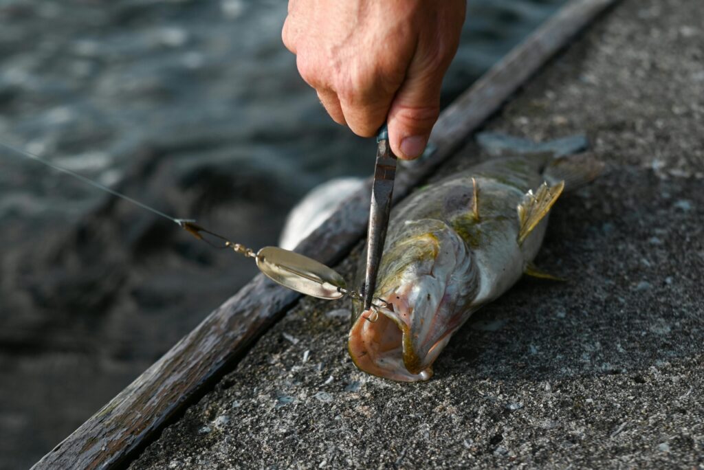 Man removing hook and cutting line from fish mouth with best fishing pliers.